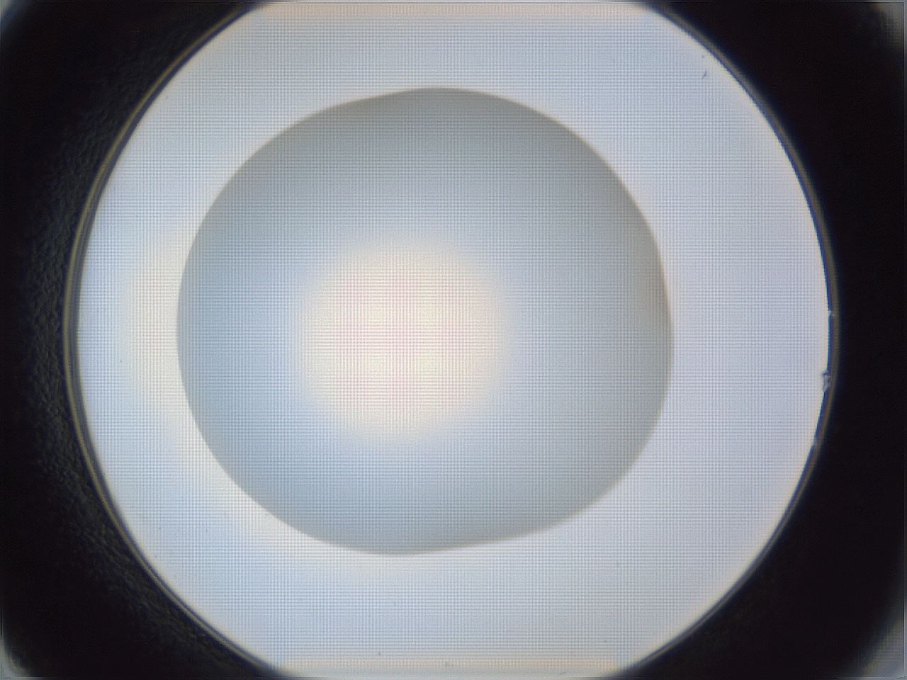 folderID31_plateID1031_batchID1982_wellNum14_profileID1_d2_r44351_ef.jpg