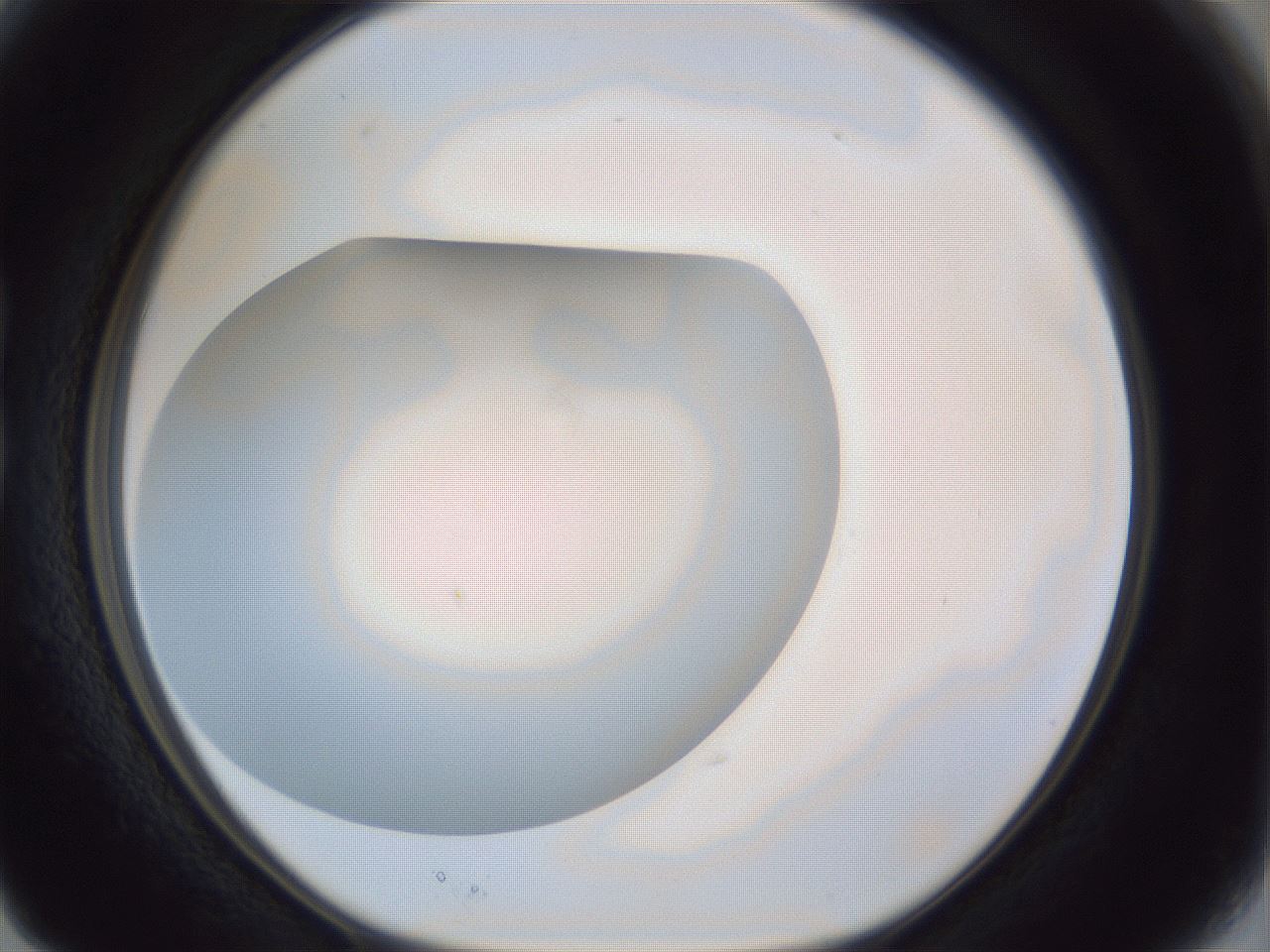 folderID31_plateID1031_batchID1982_wellNum15_profileID1_d1_r44352_ef.jpg