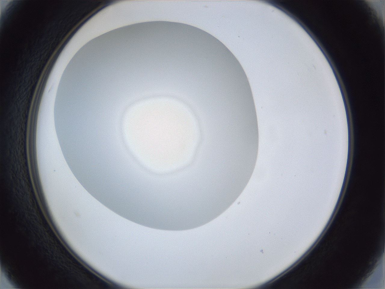 folderID31_plateID1031_batchID1982_wellNum15_profileID1_d2_r44353_ef.jpg