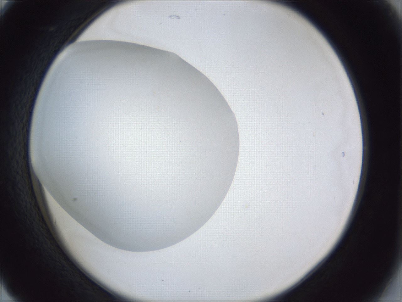folderID31_plateID1031_batchID1982_wellNum17_profileID1_d2_r44357_ef.jpg