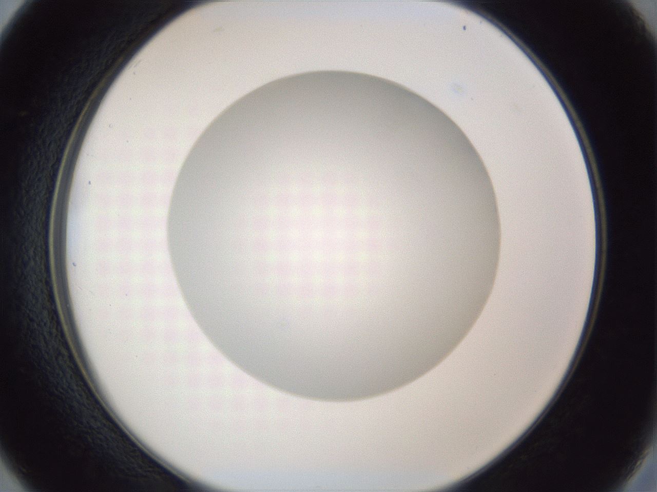folderID31_plateID1031_batchID1982_wellNum26_profileID1_d2_r44375_ef.jpg
