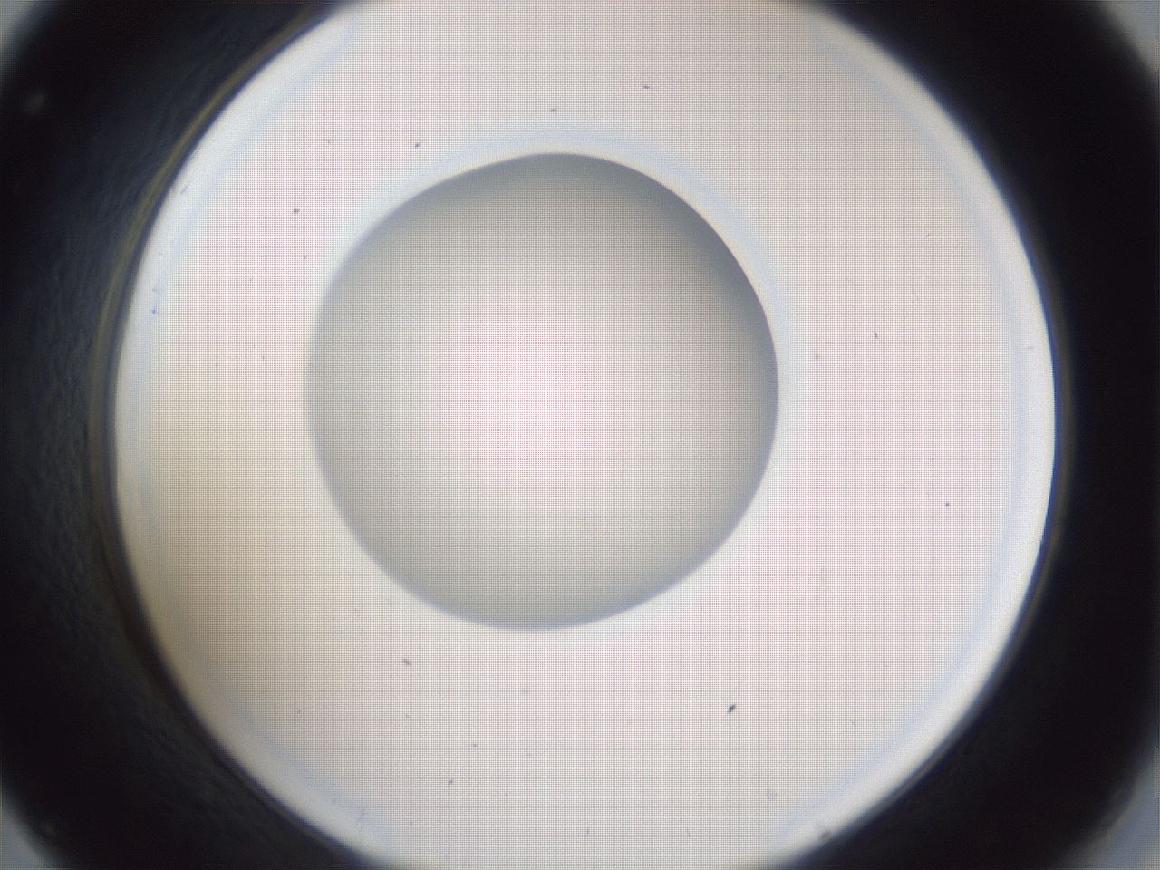 folderID31_plateID1031_batchID1982_wellNum32_profileID1_d2_r44387_ef.jpg