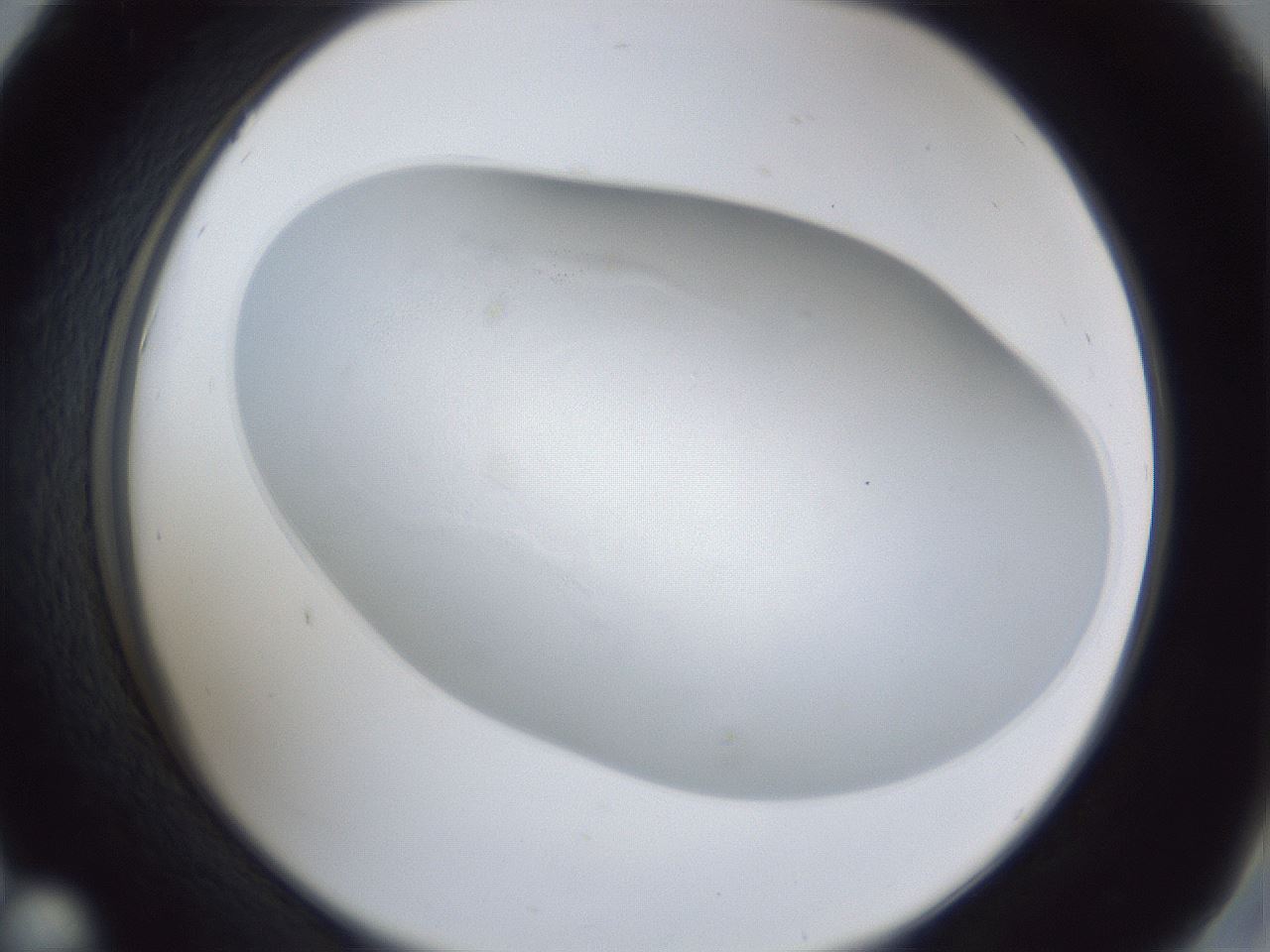 folderID31_plateID1031_batchID1982_wellNum42_profileID1_d2_r44407_ef.jpg