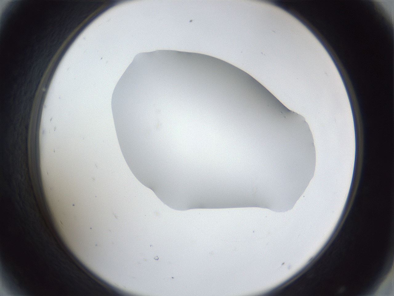 folderID31_plateID1031_batchID1982_wellNum44_profileID1_d2_r44411_ef.jpg