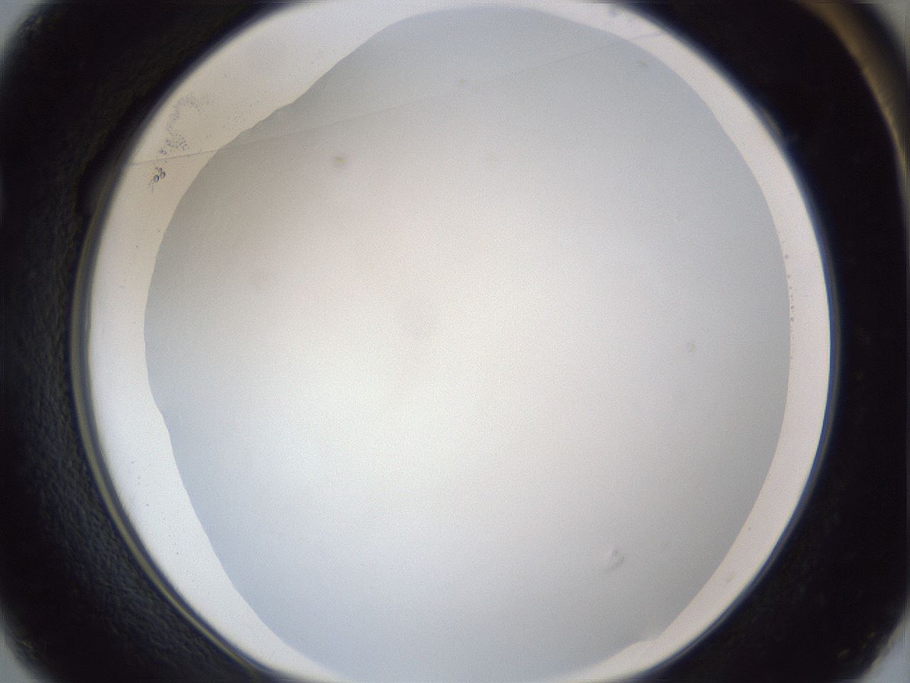 folderID31_plateID1031_batchID1982_wellNum49_profileID1_d1_r44420_ef.jpg