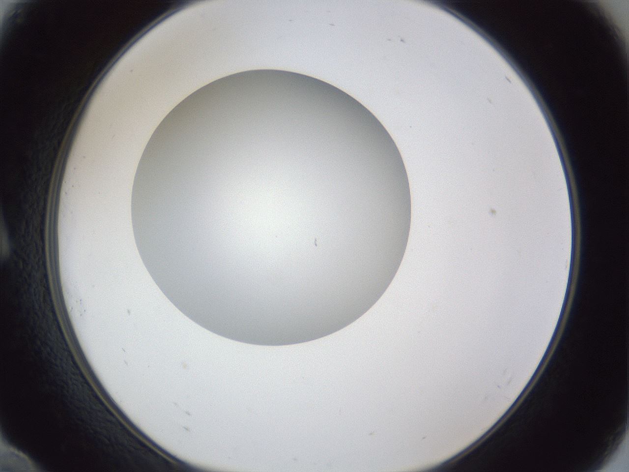 folderID31_plateID1031_batchID1999_wellNum10_profileID1_d1_r44342_ef.jpg