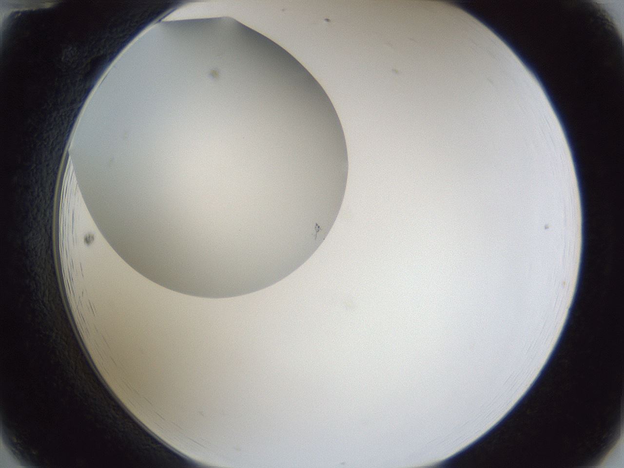 folderID31_plateID1031_batchID1999_wellNum12_profileID1_d2_r44347_ef.jpg