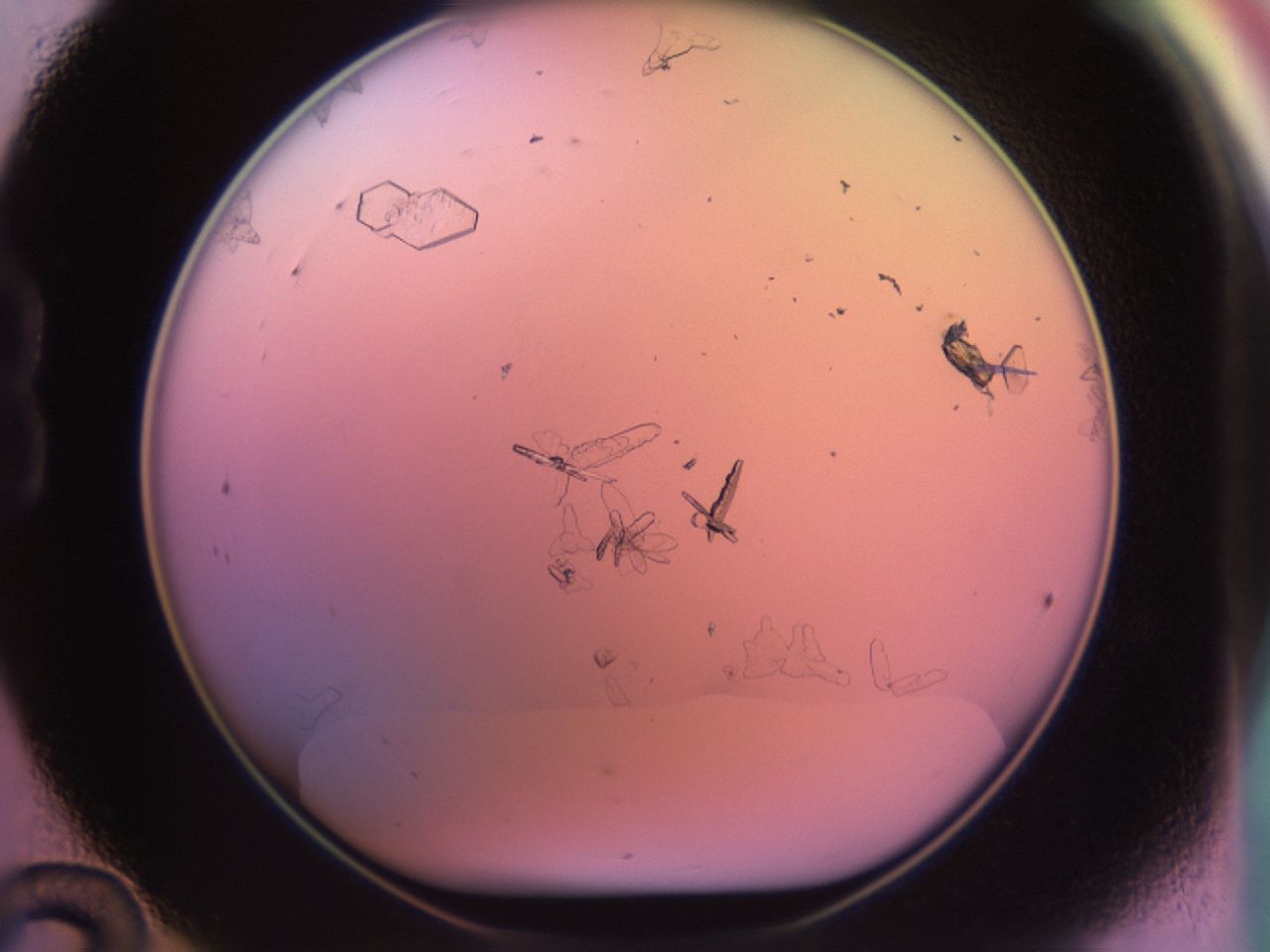 02ke_B12_ImagerDefaults_9.jpg