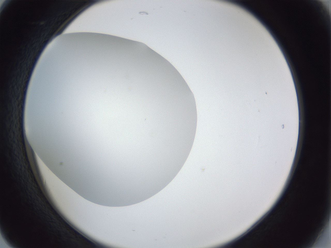 folderID31_plateID1031_batchID1999_wellNum17_profileID1_d2_r44357_ef.jpg