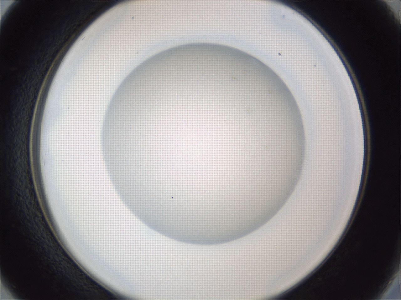 folderID31_plateID1031_batchID1999_wellNum26_profileID1_d2_r44375_ef.jpg