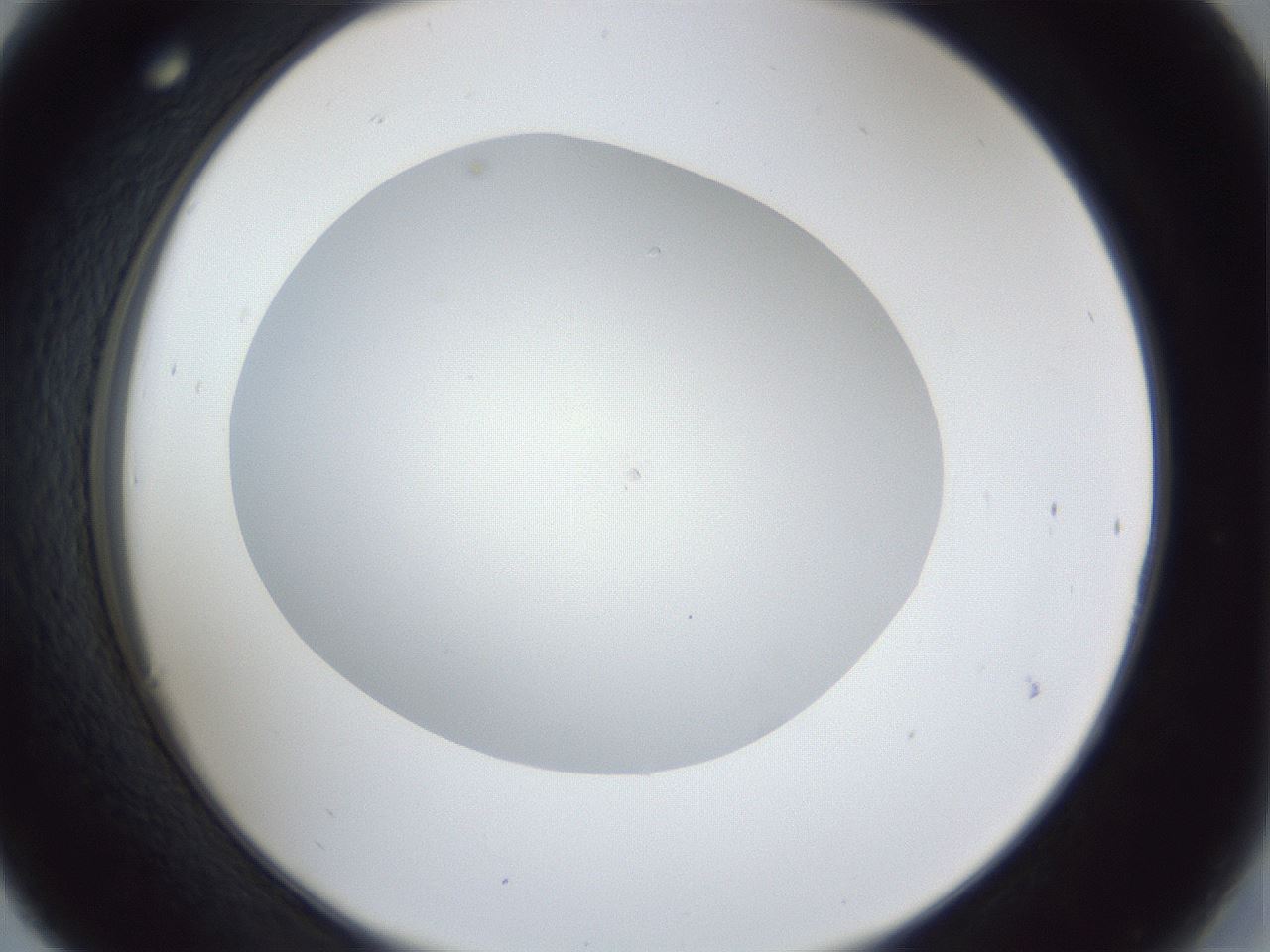 folderID31_plateID1031_batchID1999_wellNum30_profileID1_d2_r44383_ef.jpg
