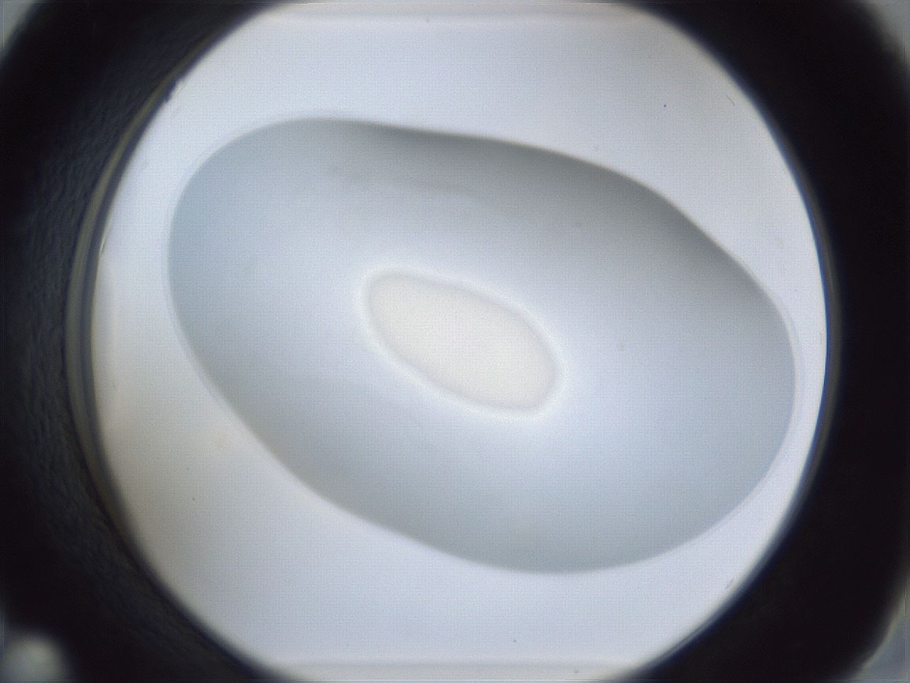 folderID31_plateID1031_batchID1999_wellNum42_profileID1_d2_r44407_ef.jpg