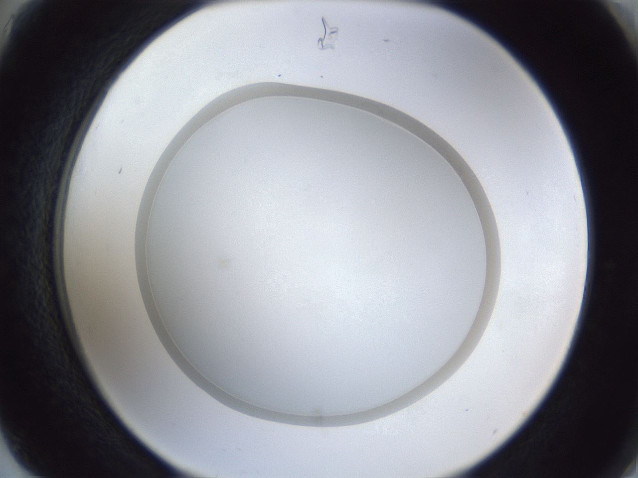 folderID31_plateID1031_batchID1999_wellNum75_profileID1_d2_r44473_ef.jpg