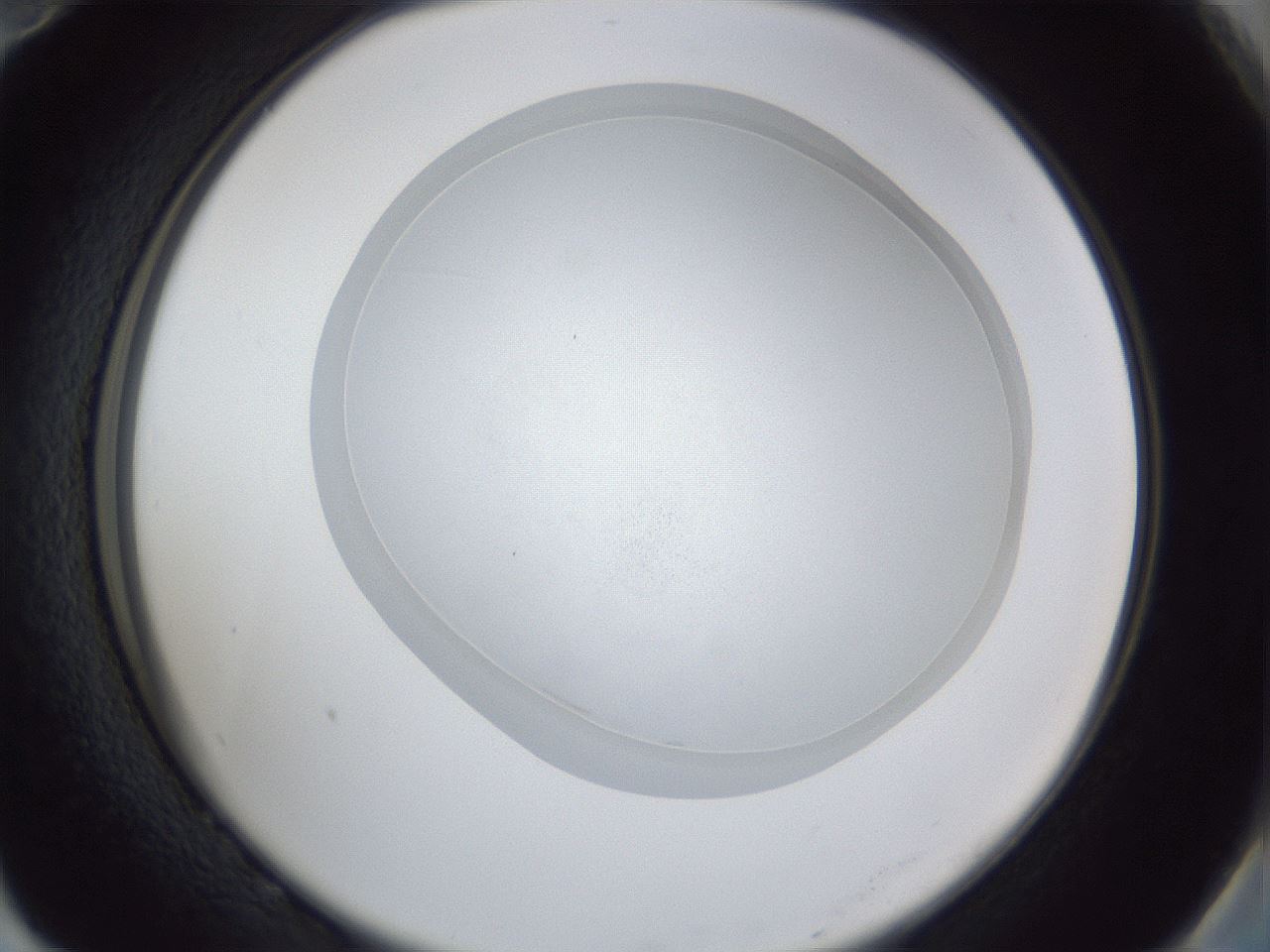 folderID31_plateID1031_batchID1999_wellNum82_profileID1_d2_r44487_ef.jpg
