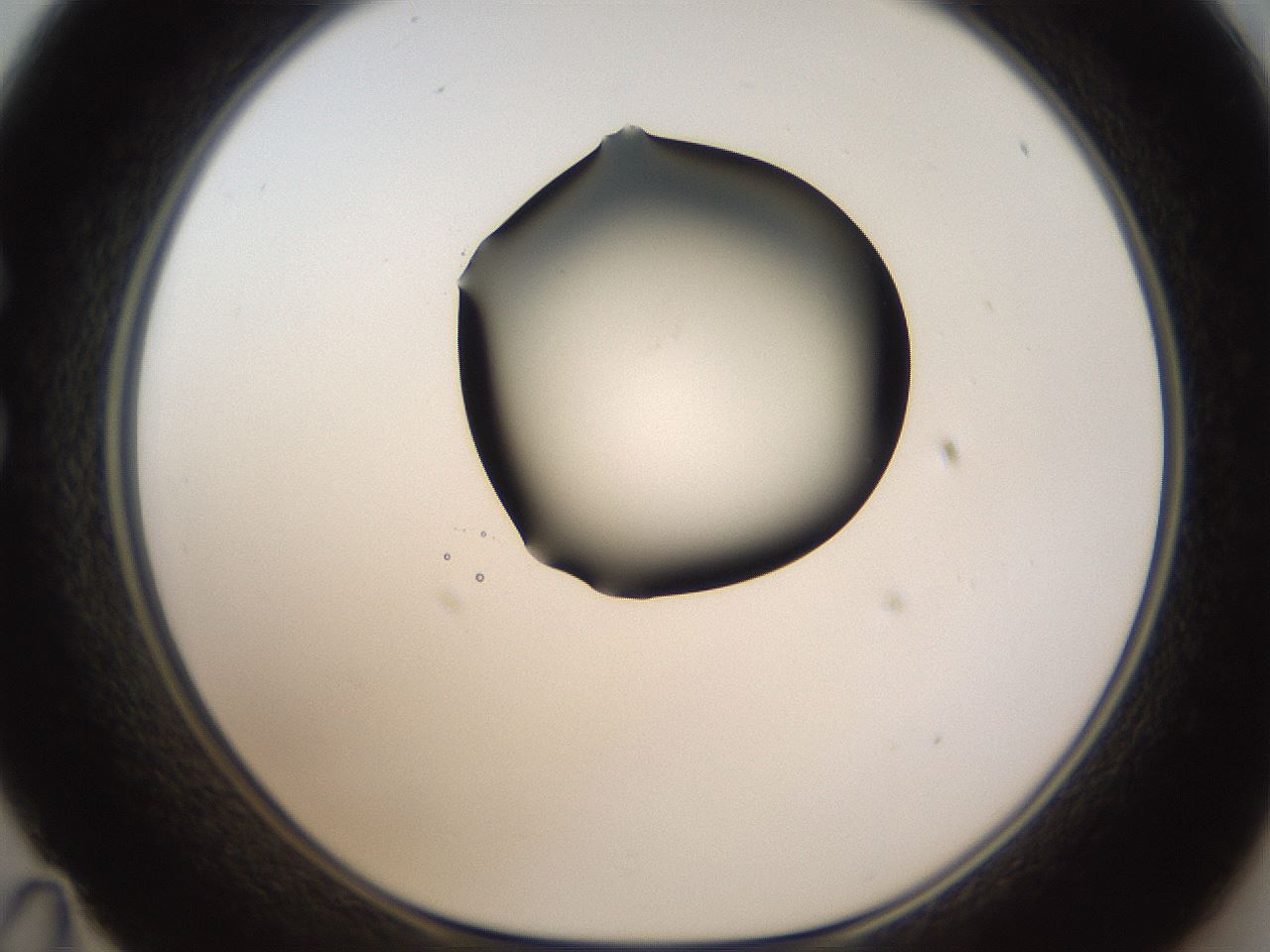 folderID320_plateID1320_batchID4375_wellNum35_profileID1_d1_r79194_ef.jpg