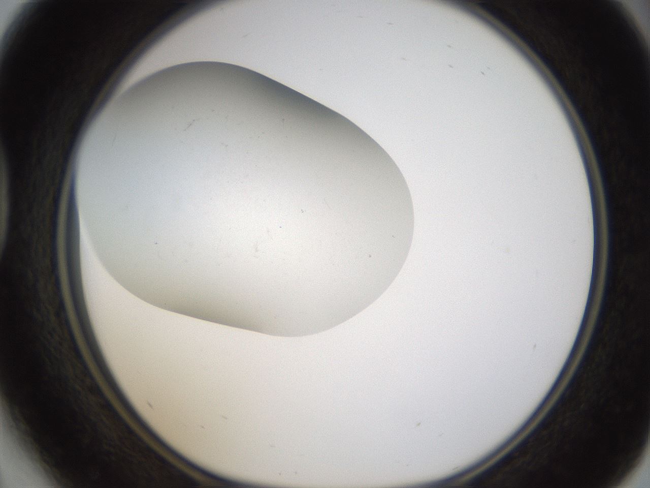 folderID320_plateID1320_batchID4375_wellNum41_profileID1_d1_r79200_ef.jpg