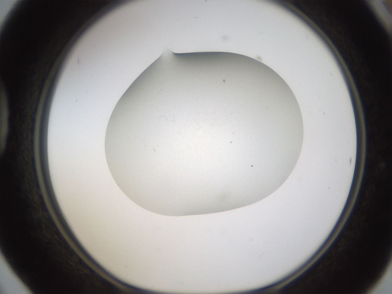 folderID320_plateID1320_batchID4375_wellNum42_profileID1_d1_r79201_ef.jpg