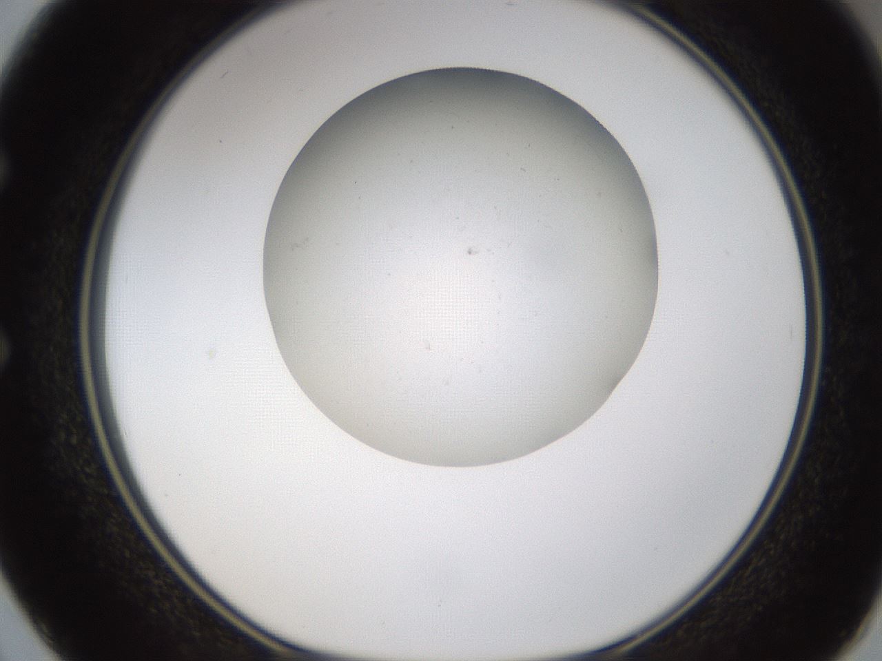 folderID320_plateID1320_batchID4375_wellNum50_profileID1_d1_r79209_ef.jpg