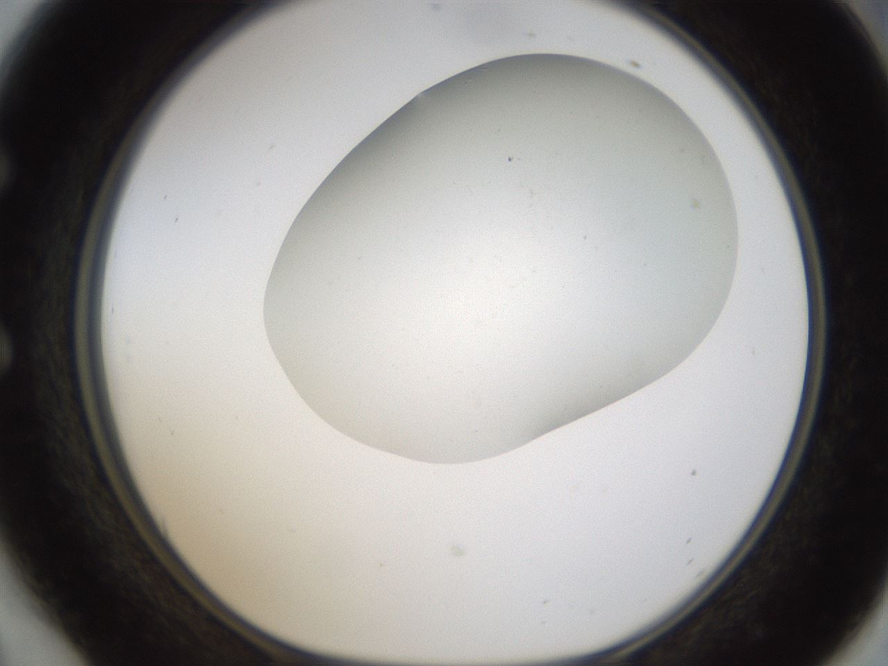 folderID320_plateID1320_batchID4375_wellNum54_profileID1_d1_r79213_ef.jpg