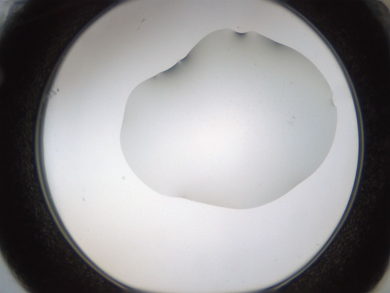 folderID320_plateID1320_batchID4375_wellNum61_profileID1_d1_r79220_ef.jpg