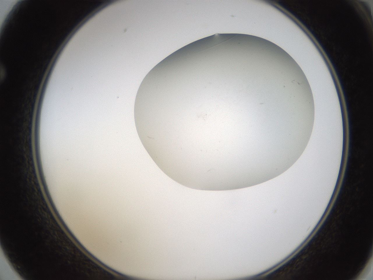 folderID320_plateID1320_batchID4375_wellNum62_profileID1_d1_r79221_ef.jpg