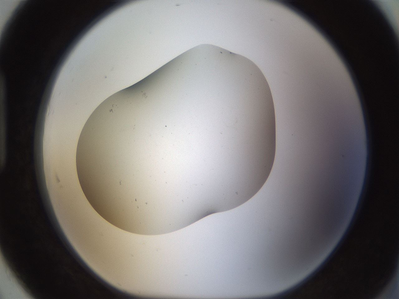folderID320_plateID1320_batchID4375_wellNum91_profileID1_d1_r79250_ef.jpg