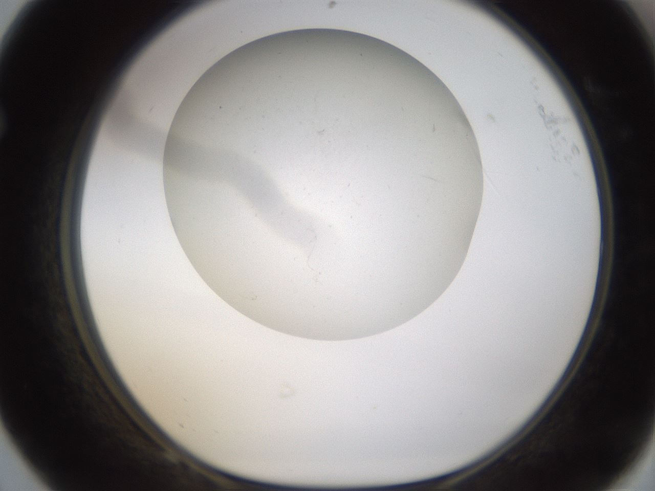 folderID320_plateID1320_batchID4375_wellNum68_profileID1_d1_r79227_ef.jpg