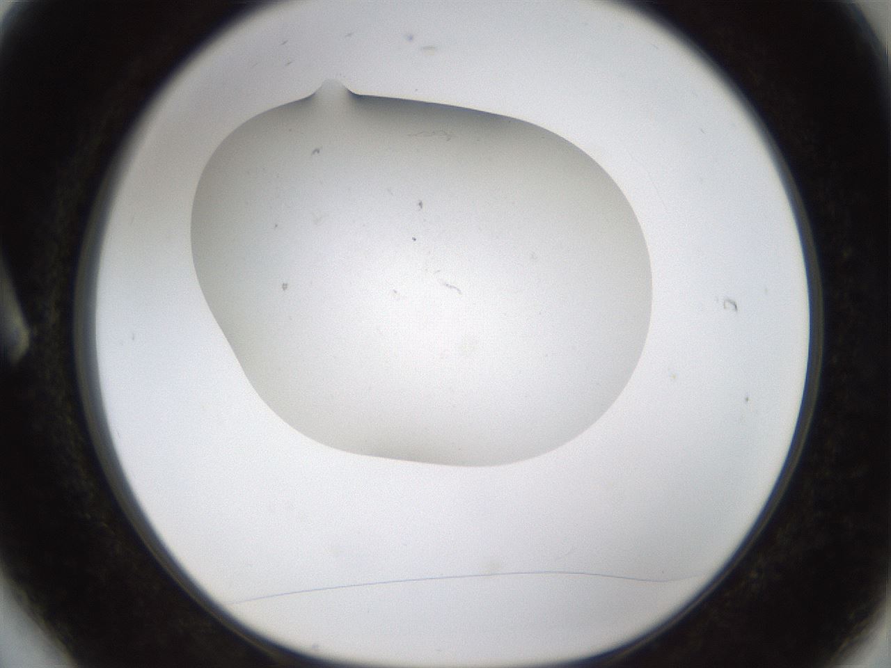 folderID320_plateID1320_batchID4375_wellNum6_profileID1_d1_r79165_ef.jpg