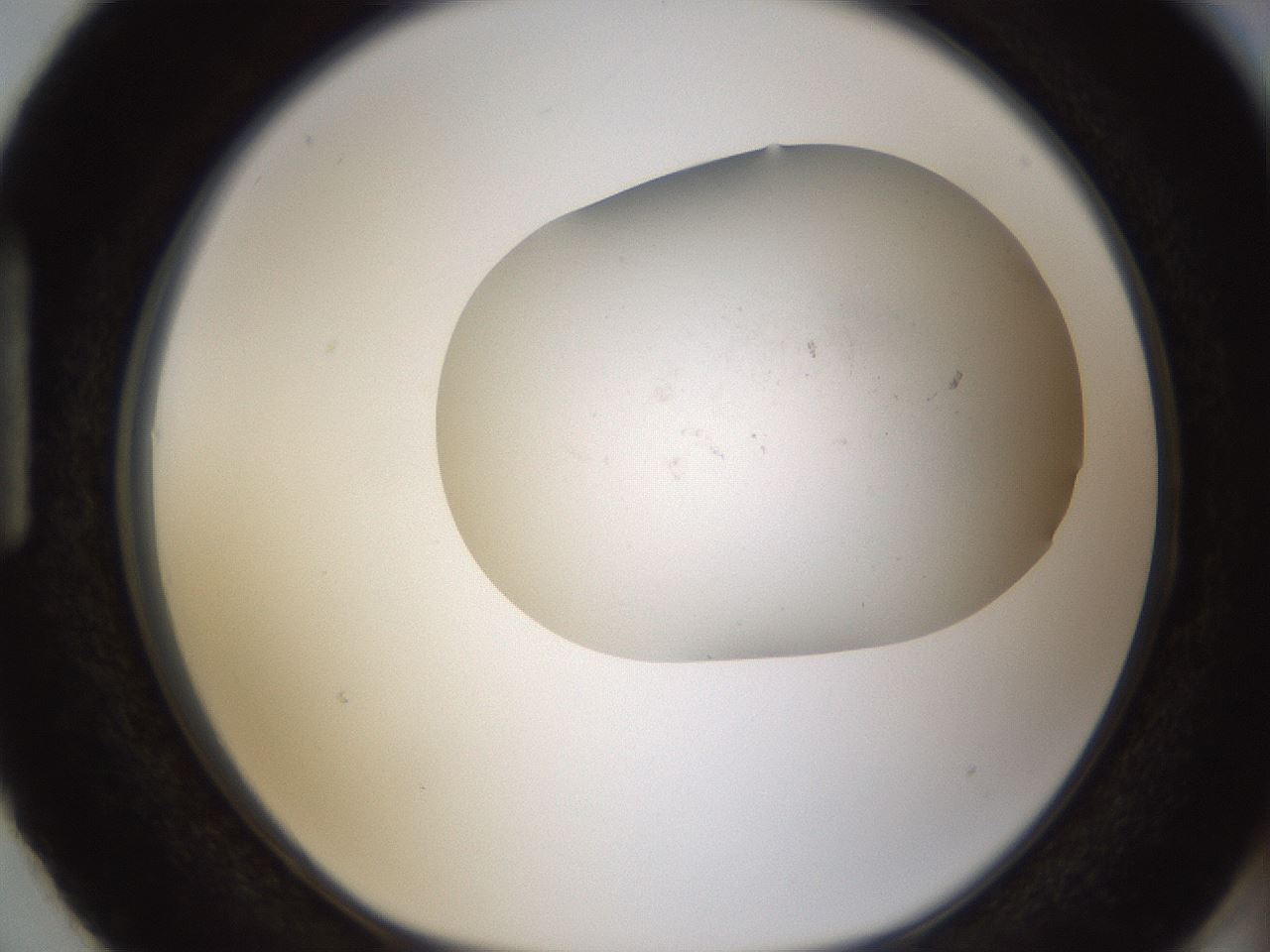 folderID320_plateID1320_batchID4375_wellNum87_profileID1_d1_r79246_ef.jpg