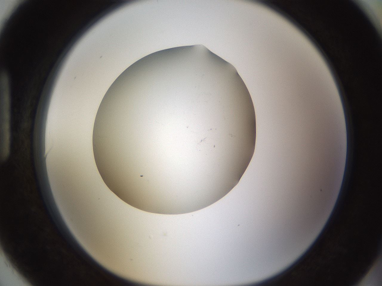 folderID320_plateID1320_batchID4375_wellNum90_profileID1_d1_r79249_ef.jpg
