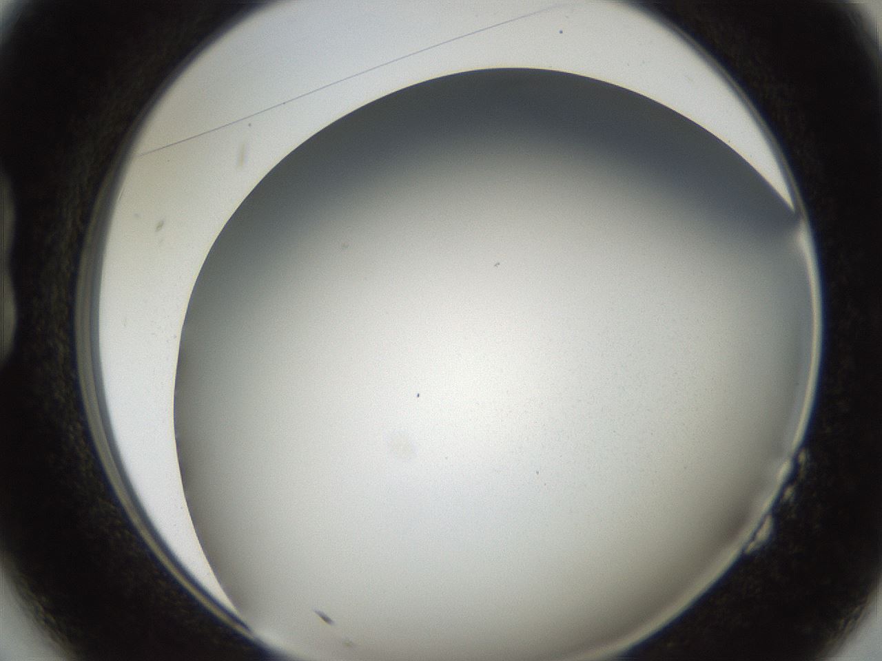 folderID321_plateID2321_batchID10963_wellNum14_profileID1_d1_r163376_ef.jpg