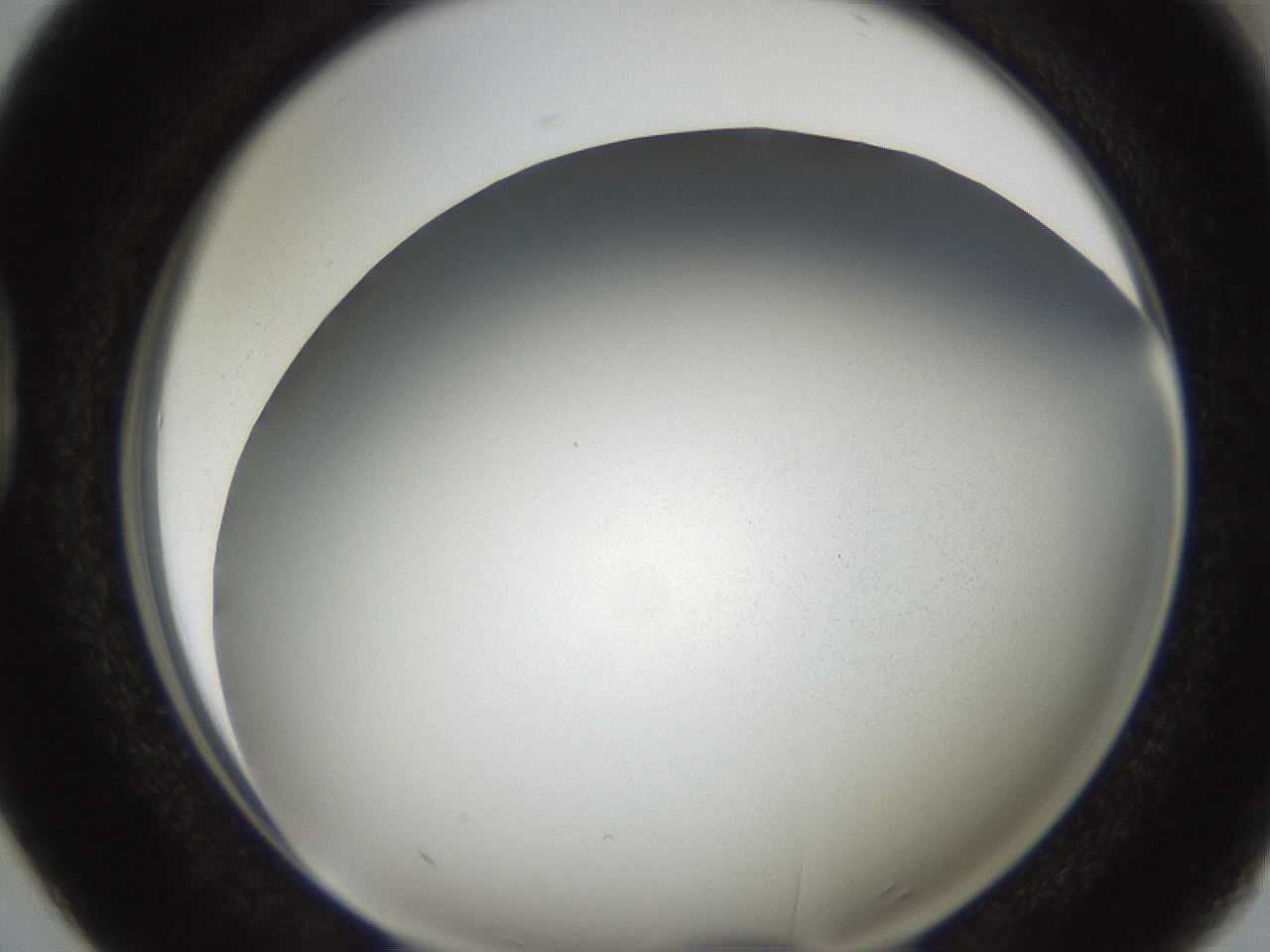 folderID321_plateID2321_batchID10963_wellNum38_profileID1_d1_r163400_ef.jpg