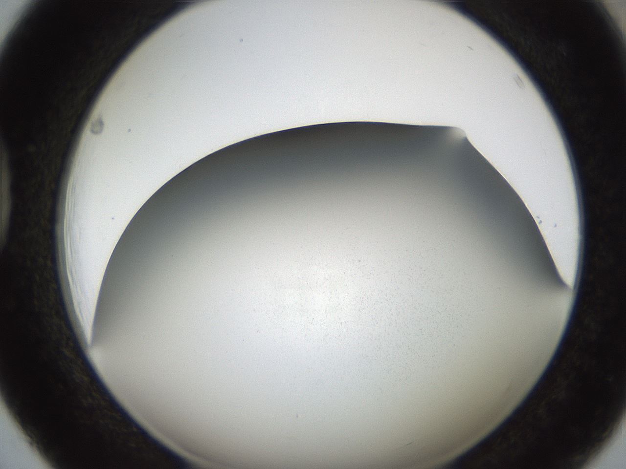 folderID321_plateID2321_batchID10963_wellNum39_profileID1_d1_r163401_ef.jpg