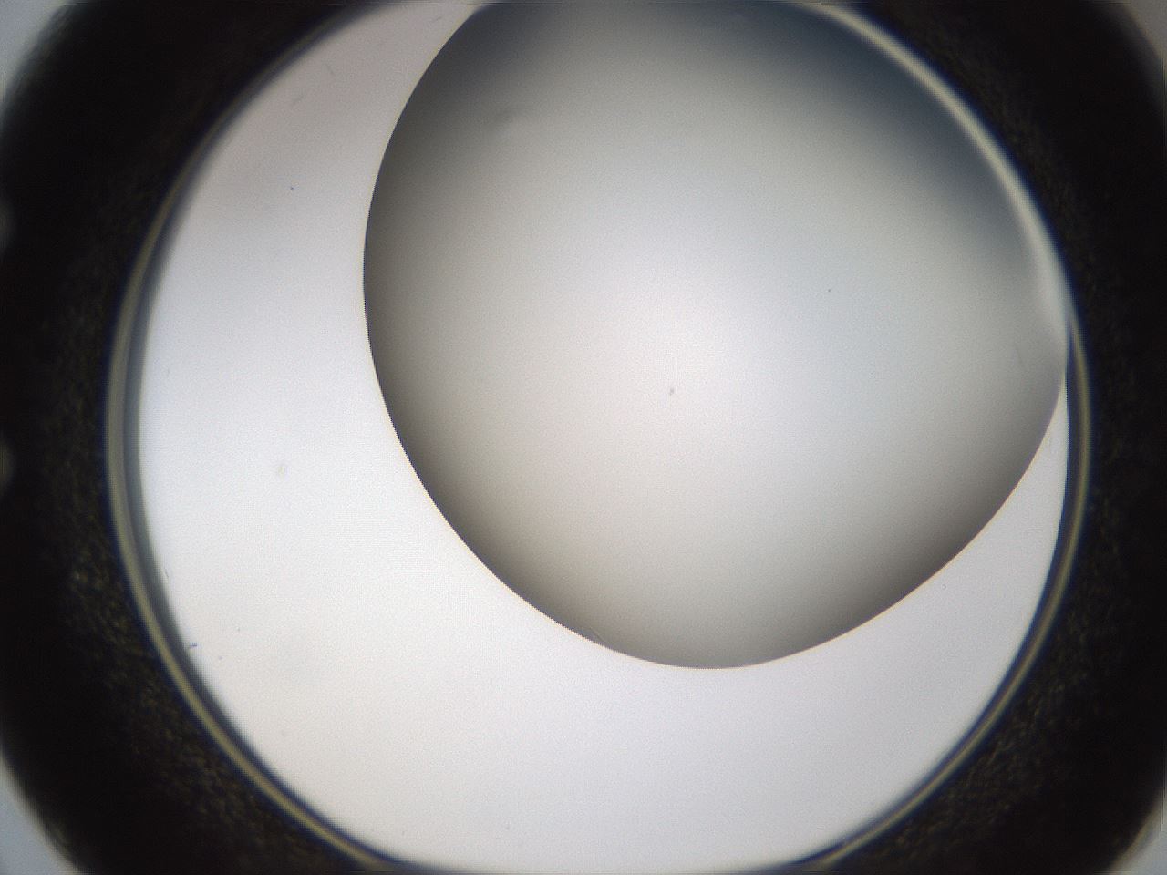 folderID324_plateID1324_batchID4479_wellNum50_profileID1_d1_r79473_ef.jpg