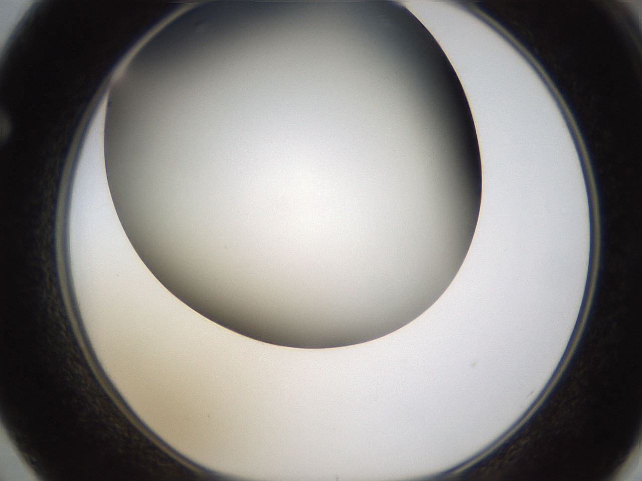 folderID324_plateID1324_batchID4479_wellNum62_profileID1_d1_r79479_ef.jpg