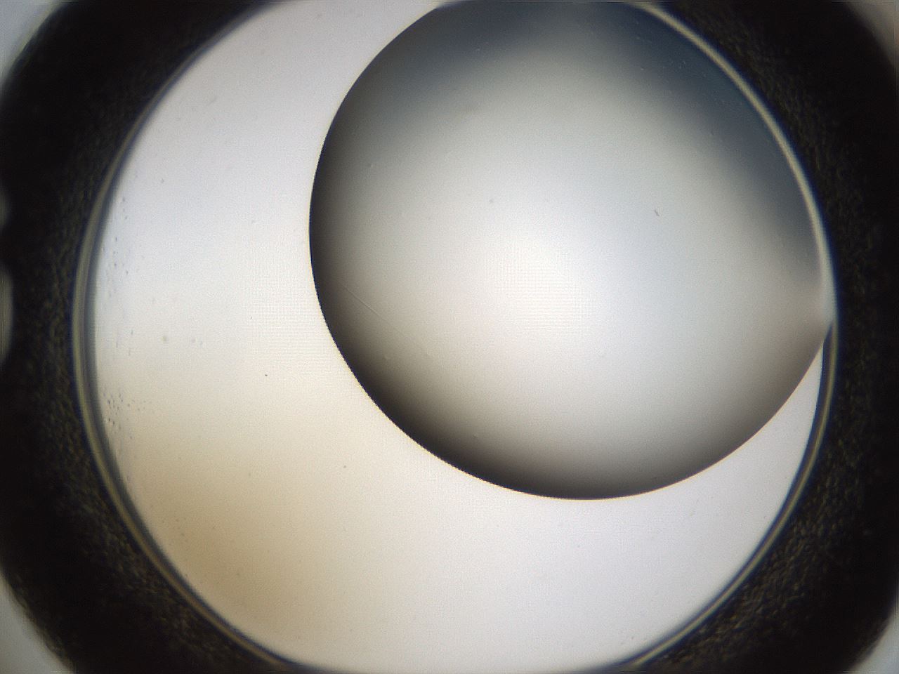 folderID324_plateID1324_batchID4479_wellNum73_profileID1_d1_r79484_ef.jpg