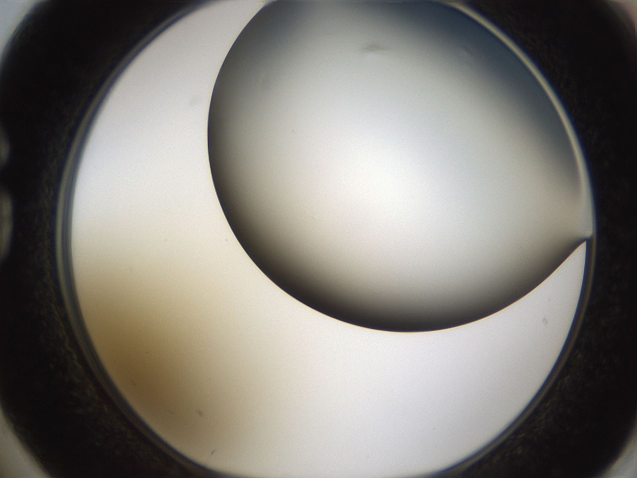 folderID324_plateID1324_batchID4479_wellNum74_profileID1_d1_r79485_ef.jpg