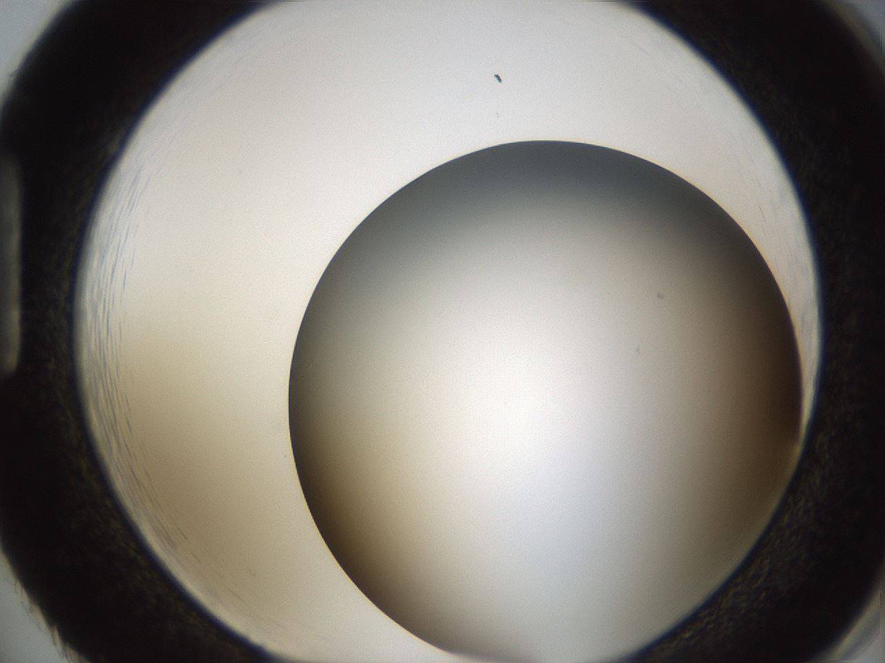 folderID324_plateID1324_batchID4479_wellNum86_profileID1_d1_r79491_ef.jpg