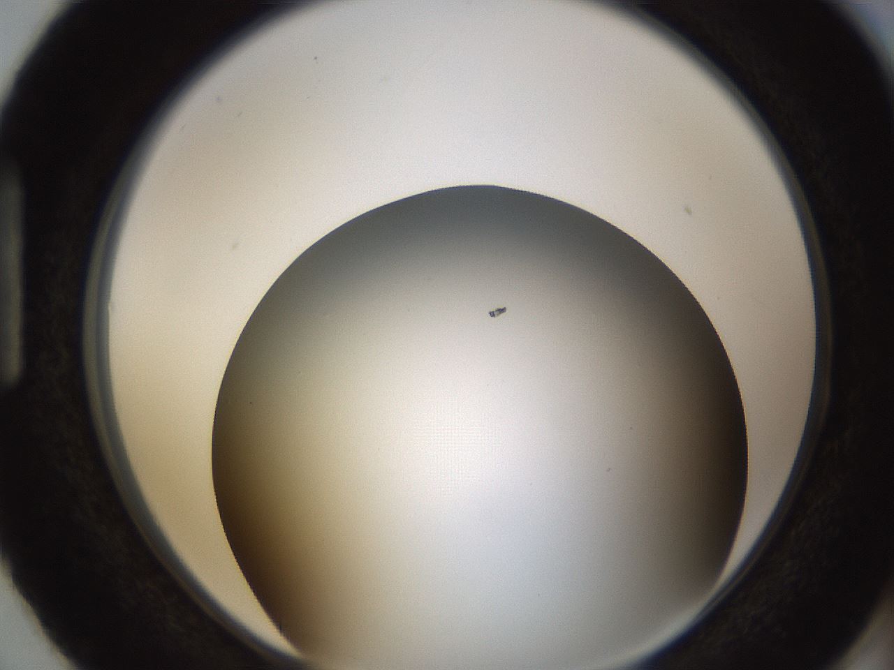 folderID324_plateID1324_batchID4479_wellNum87_profileID1_d1_r79492_ef.jpg