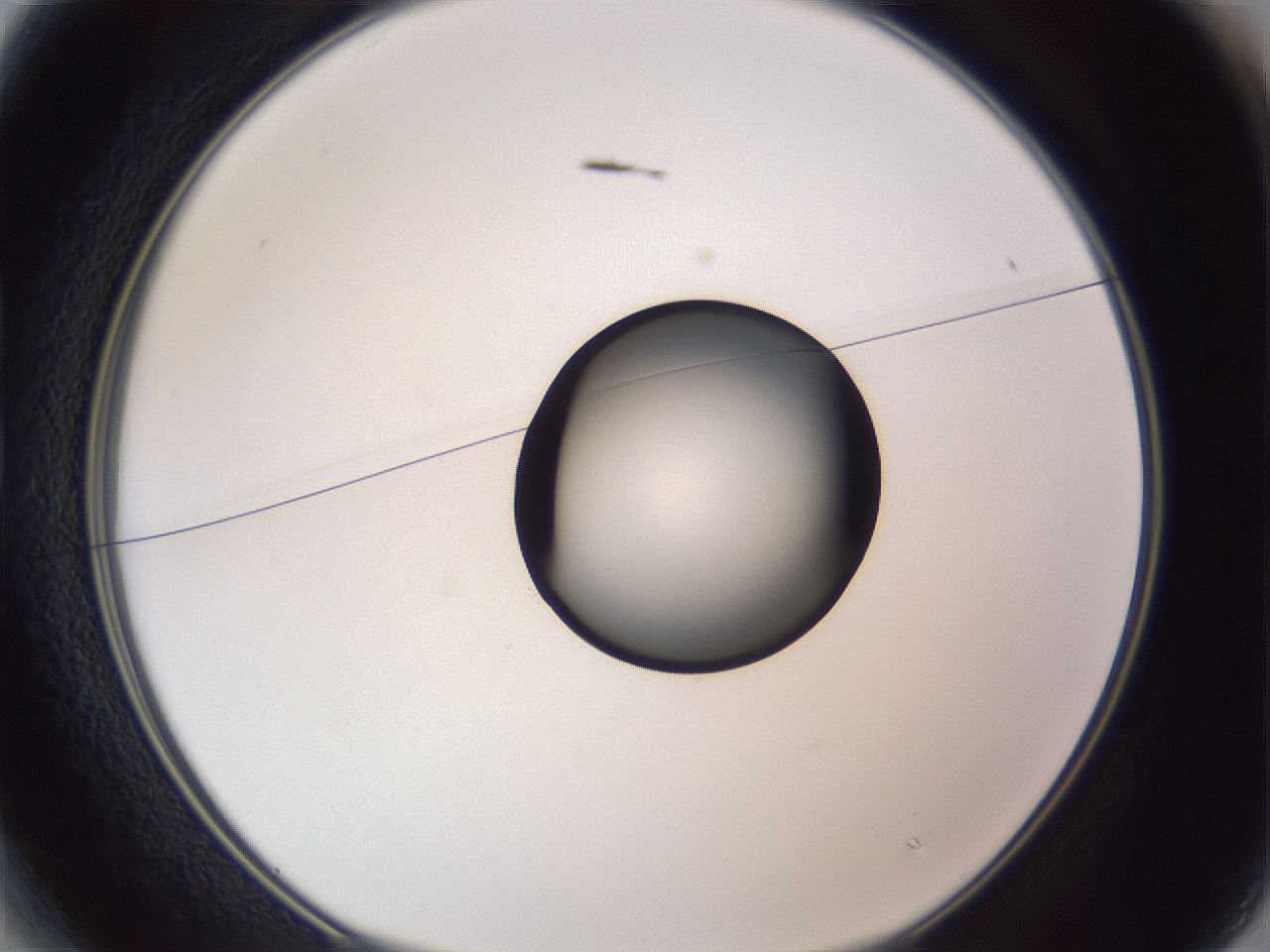 folderID326_plateID1326_batchID4444_wellNum13_profileID1_d1_r79700_ef.jpg