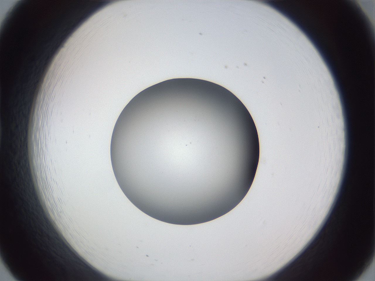 folderID326_plateID1326_batchID4444_wellNum20_profileID1_d1_r79707_ef.jpg
