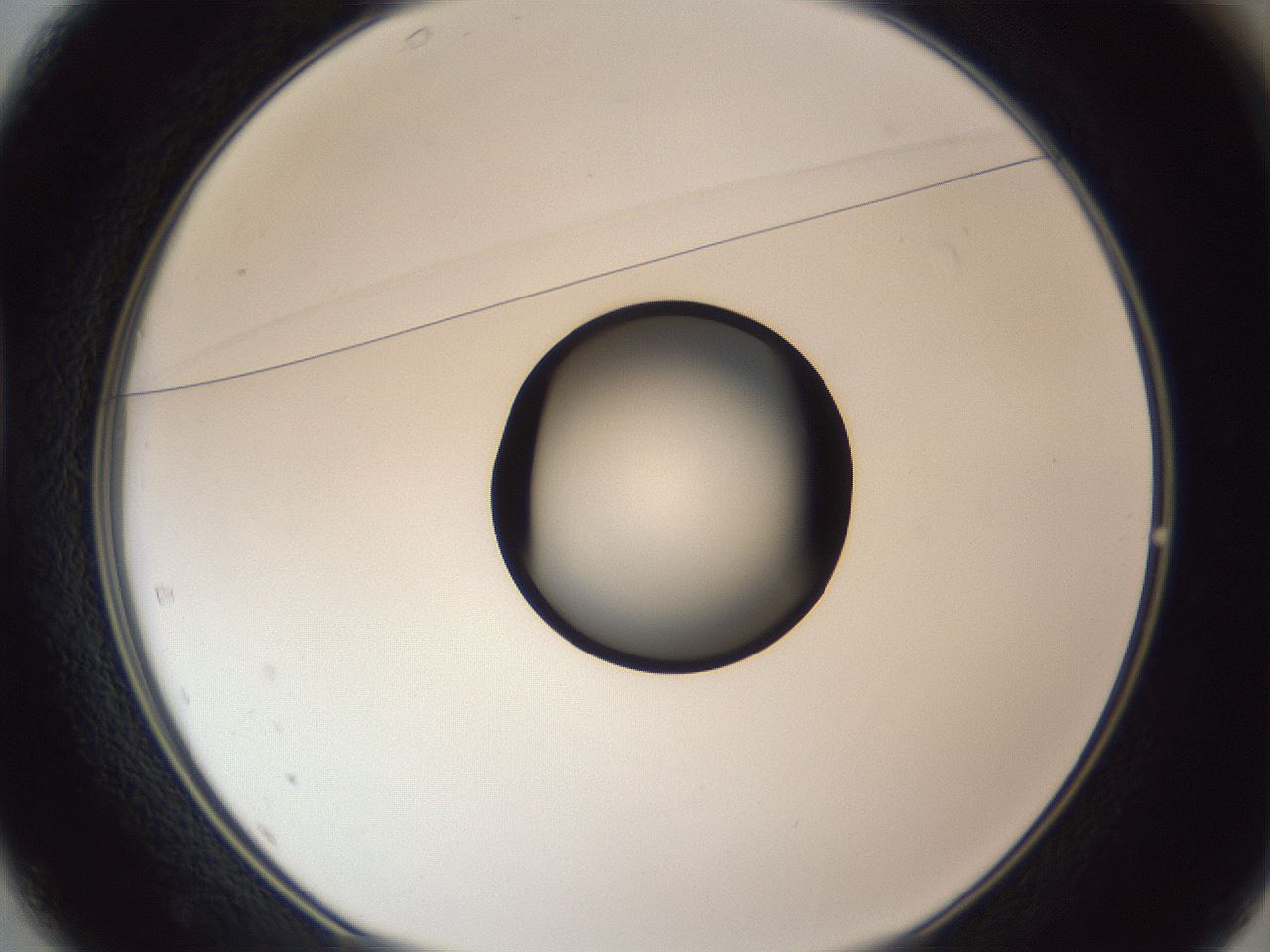 folderID326_plateID1326_batchID4444_wellNum37_profileID1_d1_r79724_ef.jpg