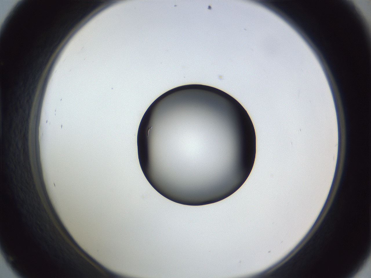 folderID326_plateID1326_batchID4444_wellNum45_profileID1_d1_r79732_ef.jpg