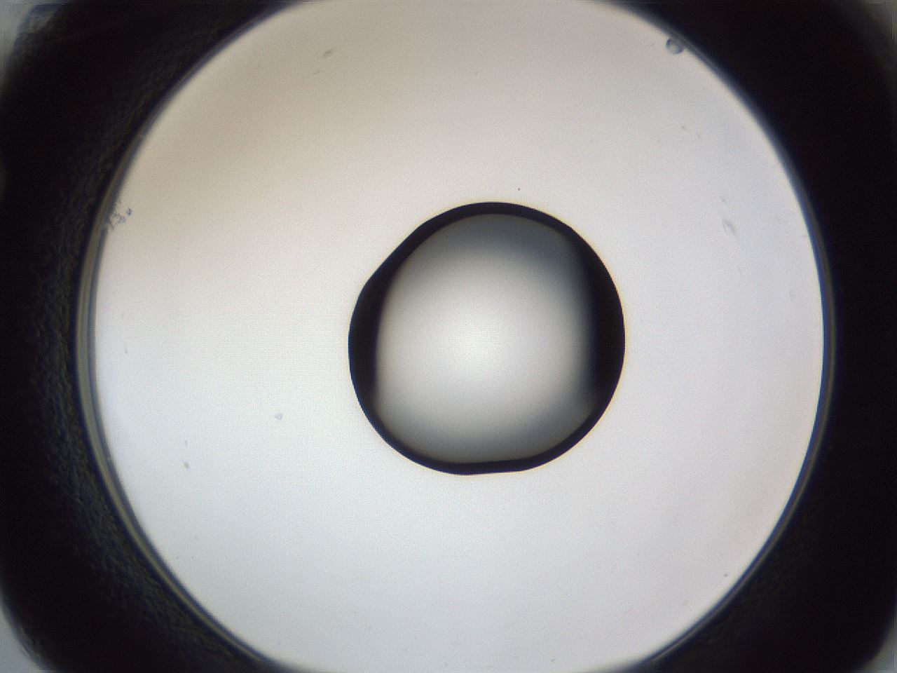 folderID326_plateID1326_batchID4444_wellNum61_profileID1_d1_r79748_ef.jpg