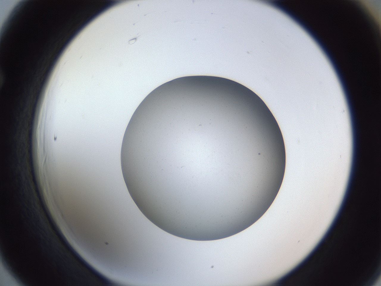 folderID326_plateID1326_batchID4444_wellNum66_profileID1_d1_r79753_ef.jpg