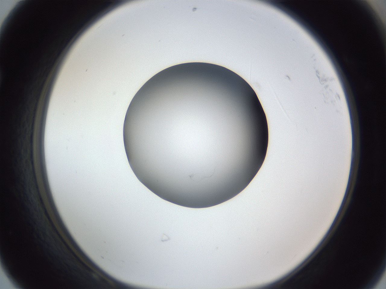 folderID326_plateID1326_batchID4444_wellNum68_profileID1_d1_r79755_ef.jpg