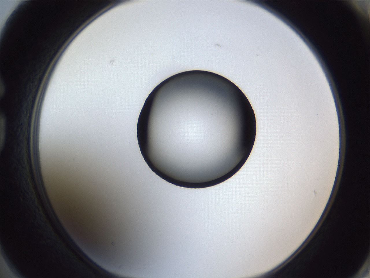 folderID326_plateID1326_batchID4444_wellNum74_profileID1_d1_r79761_ef.jpg