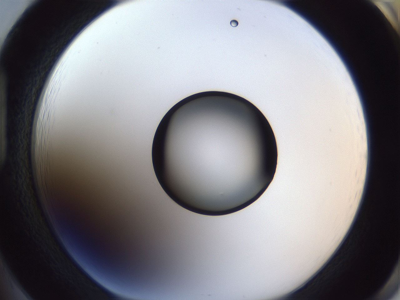 folderID326_plateID1326_batchID4444_wellNum85_profileID1_d1_r79772_ef.jpg