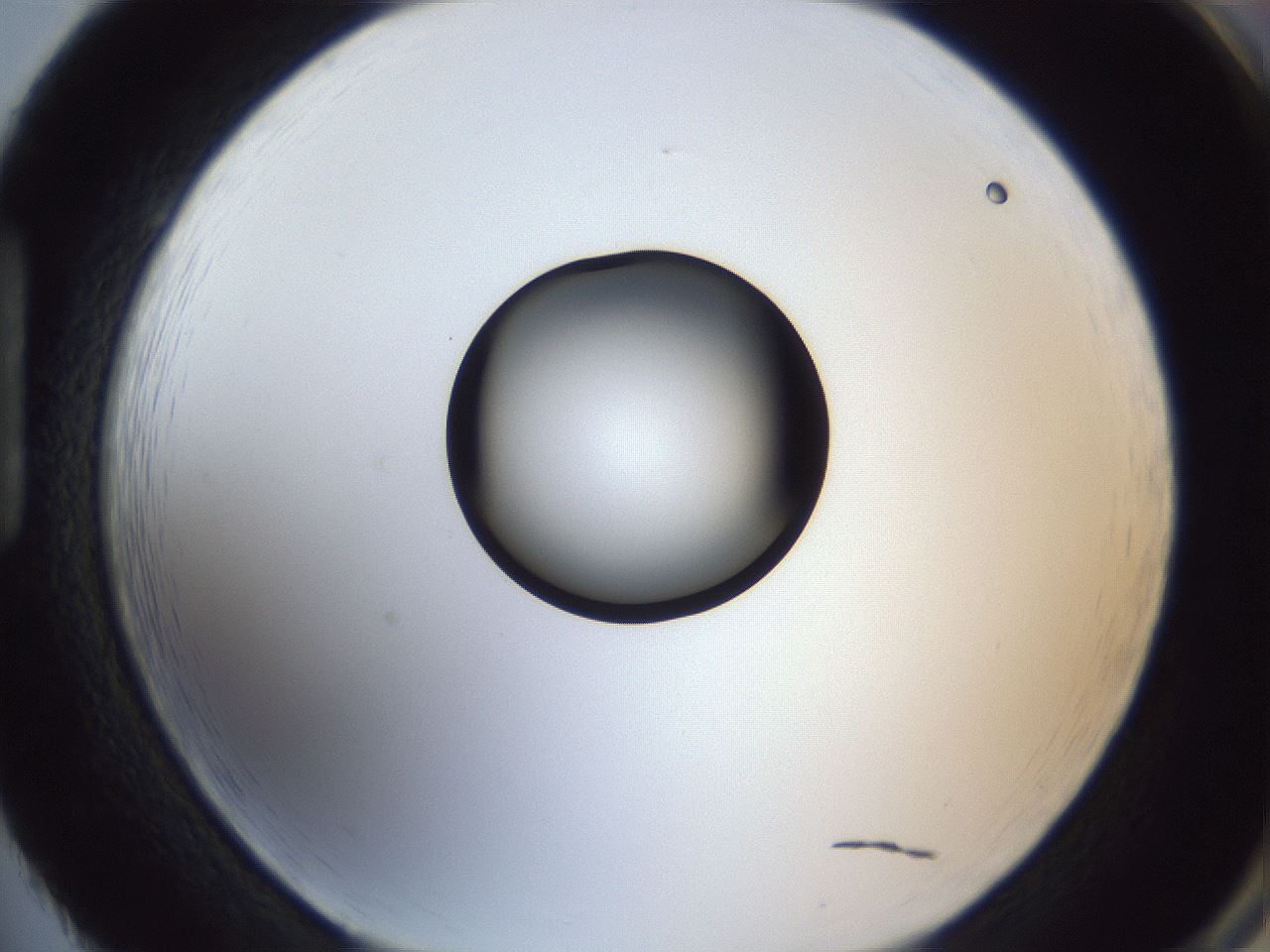 folderID326_plateID1326_batchID4444_wellNum86_profileID1_d1_r79773_ef.jpg