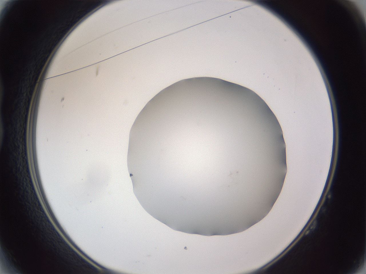 folderID326_plateID1326_batchID4444_wellNum14_profileID1_d1_r79701_ef.jpg